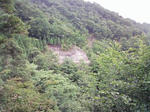 0906201515.JPG