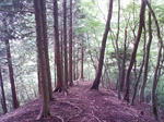 0906201532_3.JPG