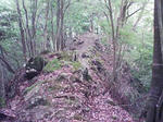 0906201536_2.JPG