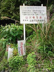 0906070846_1.JPG
