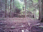 0908231027_4.JPG