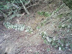 0909130859_1.JPG