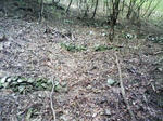 0909130910_1.JPG