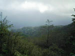 0910041016_2.JPG