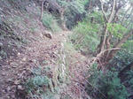 0910111558_2.JPG