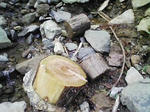 0910181331.JPG
