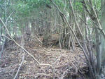 0910241325_1.JPG