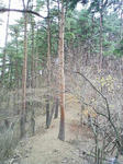 0911281440_2.JPG