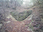 1003070944_2.JPG
