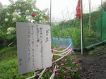 1006270731.JPG