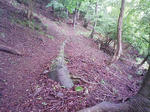 1006270834_1.JPG