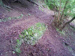 1006270837_1.JPG