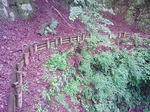 1006270841_2.JPG
