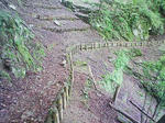 1006270853.JPG