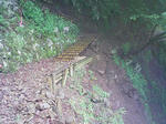 1006270900_1.JPG