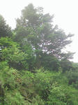 1006270929.JPG