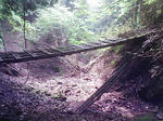 1009191015_1.JPG