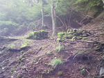 1009191021_2.JPG