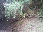 1009191029.JPG