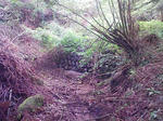 1009191036_2.JPG