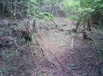 1009191050_1.JPG