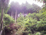 1009191050_2.JPG