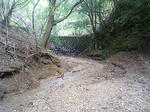 1009191051_1.JPG