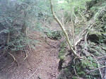 1009191051_2.JPG
