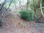 1009191057_2.JPG