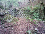 1009191058_1.JPG