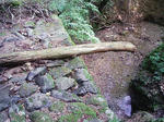 1009191101.JPG