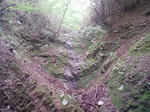 1009191119_2.JPG