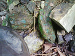 1009191147.JPG