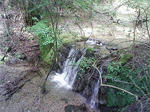 1009191159.JPG