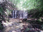 1009191211.JPG