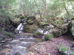 1009191240.JPG