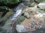 1009191242.JPG