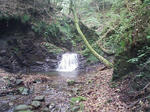 1009191258_1.JPG