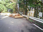 1009191416_1.JPG