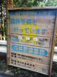 1009191416_2.JPG