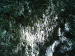 0955_1.JPG