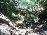 1007_1.JPG
