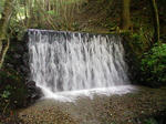 1036_3.JPG