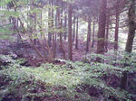 1055.JPG