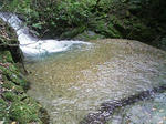 1105_1.JPG