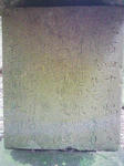1243_3.JPG