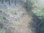 1507.JPG