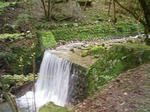 1534_2.JPG