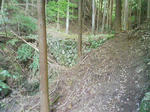 1548_2.JPG