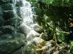 1126_1.JPG